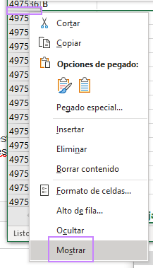 excel mostrar fila