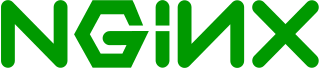 nginx logo