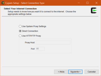 cygwin installer connection type