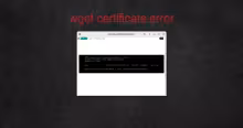 wget cert error